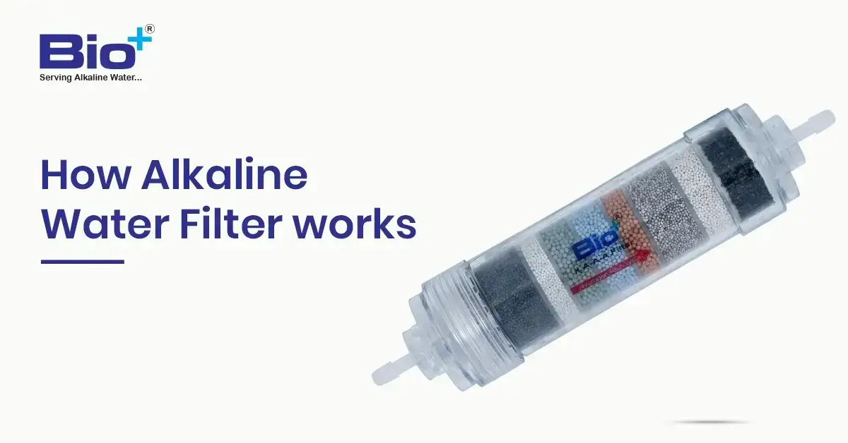 How Alkaline Water Filter works
