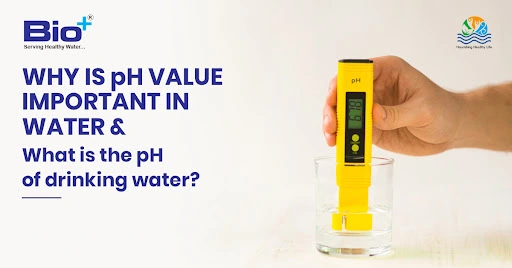 Why is pH value important in water and What is the pH of drinking water?