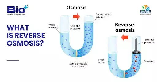 The Complete Difference Between Alkaline Water & Reverse Osmosis (RO)