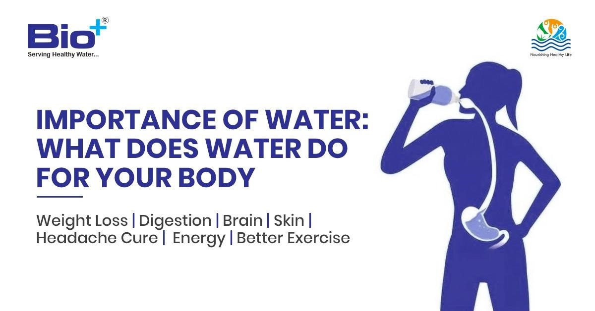 Importance of water: What Does Water Do for Your Body