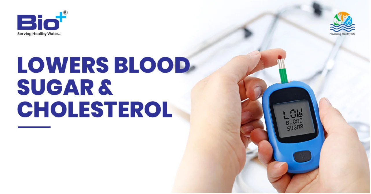 Lowers blood sugar and cholesterol: